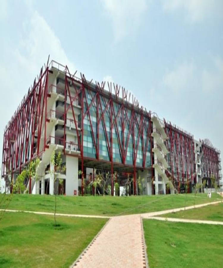 Service Provider of O.P Jindal Gobal University in New Delhi, Delhi, India.